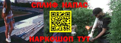 стаф Краснокаменск