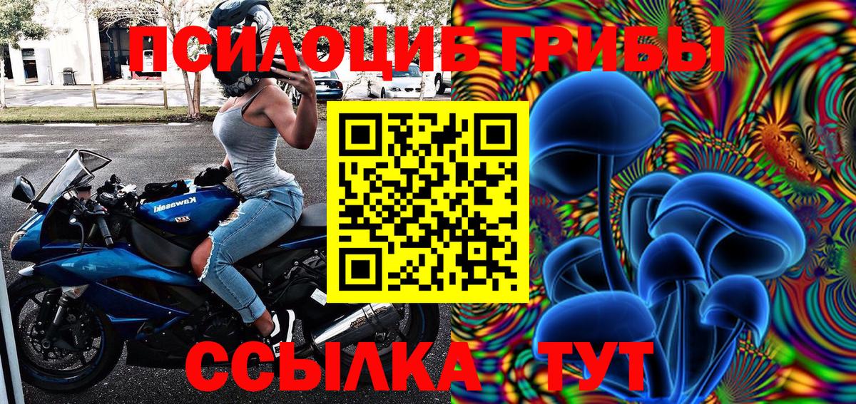 Галлюциногенные грибы Psilocybine cubensis Шелехов