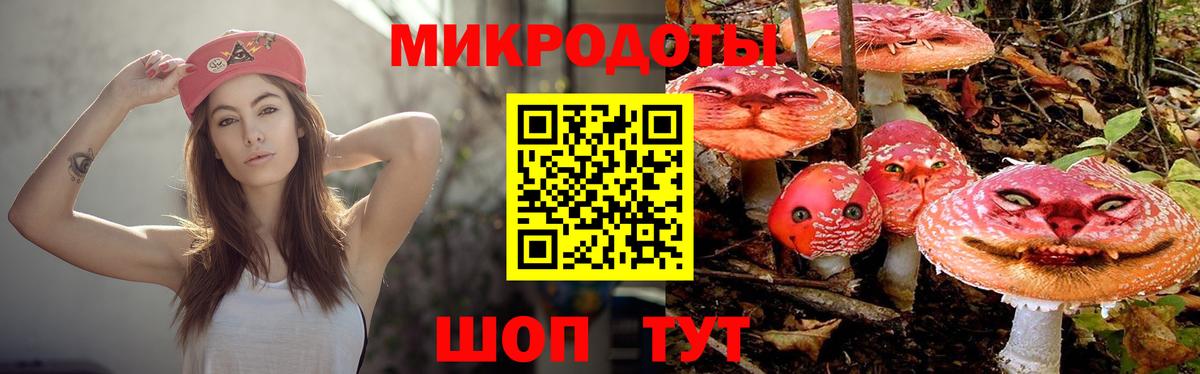 Псилоцибиновые грибы прущие грибы  Галлюциногенные грибы GOLDEN TEACHER  Шелехов  Вход с VPN 